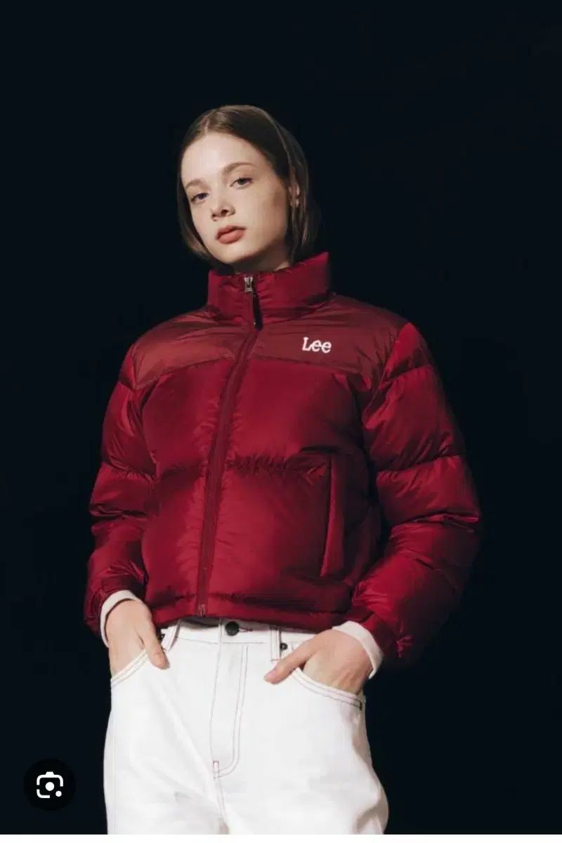 販売価格18万 Lee リー クロップド ダックダウン ショートダウンジャケット M