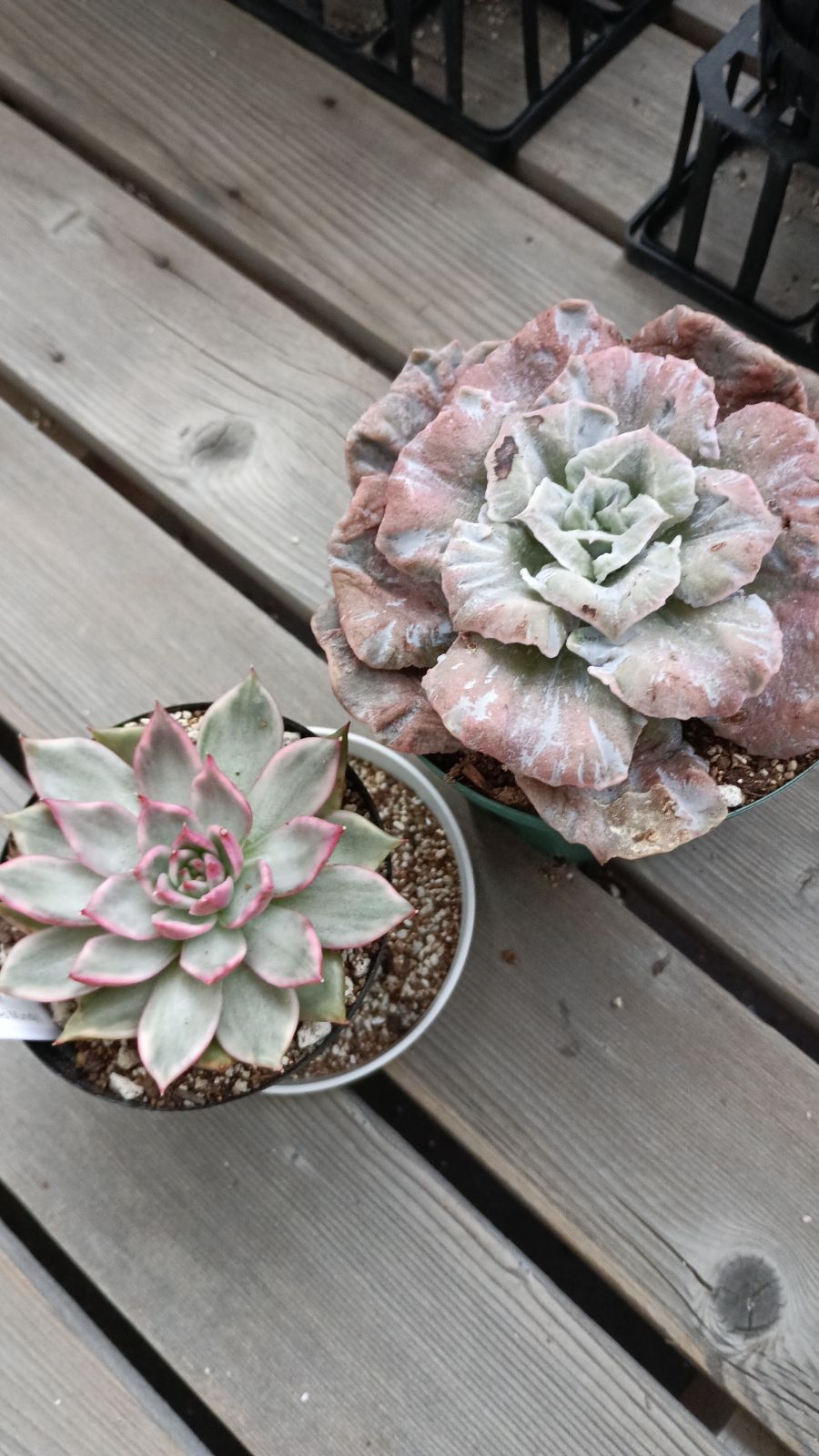 おまとめ商品 - メルカリ