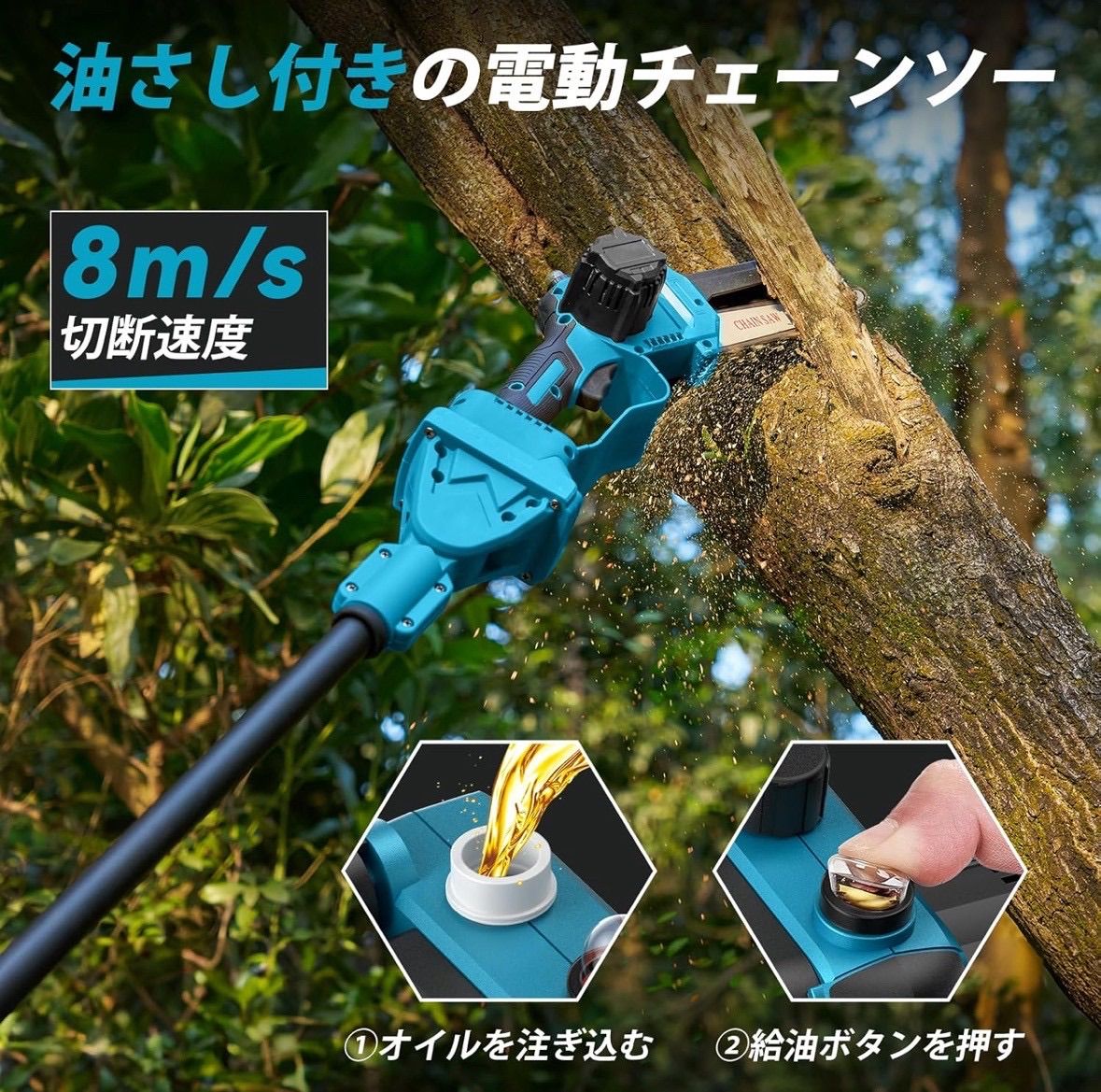 庭木剪定 高所枝切り