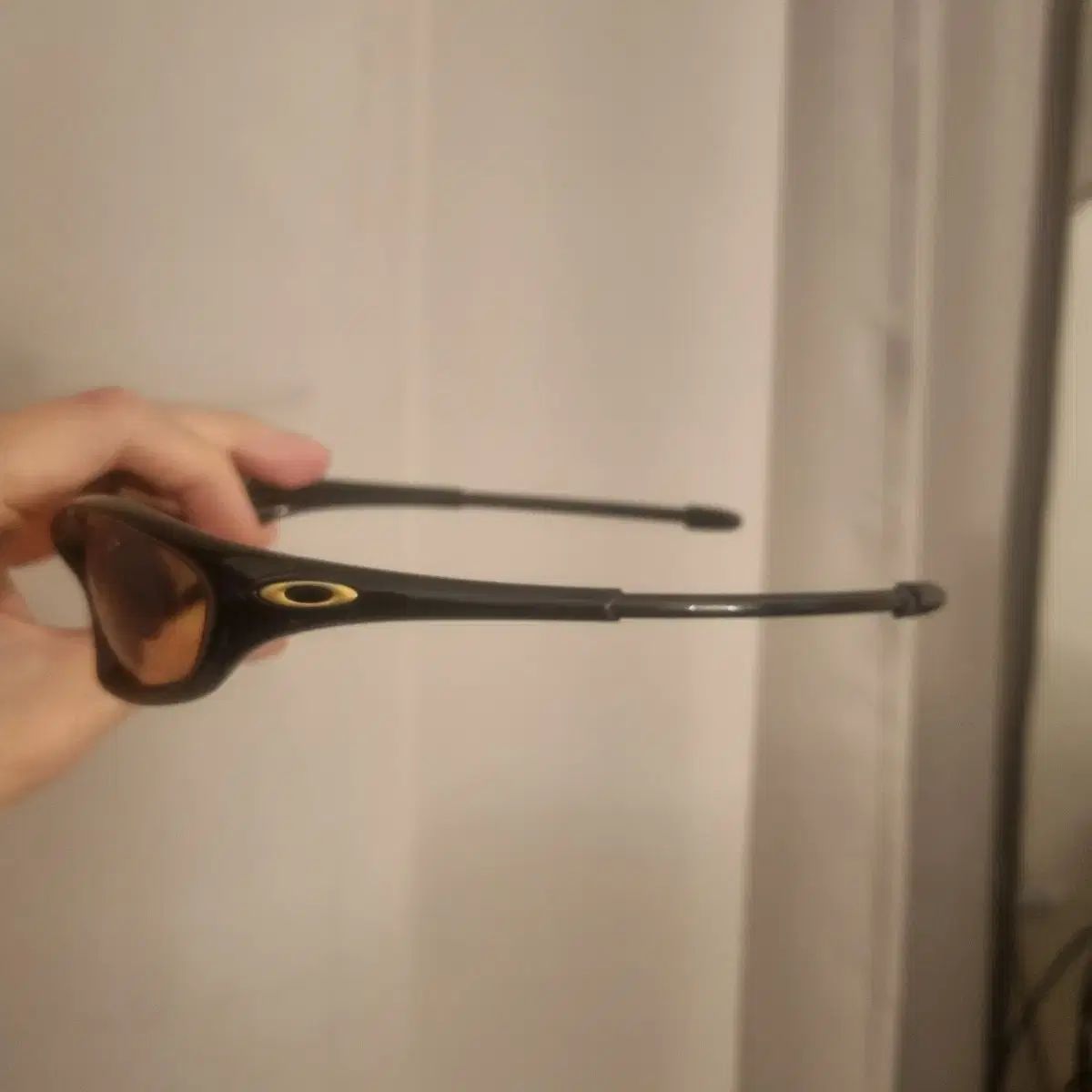 パープルレンズ