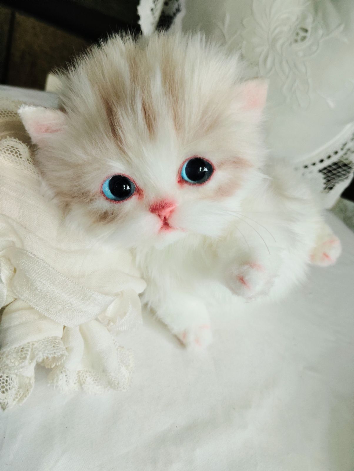 よちよちあんよ 短足ころりんボディ ミヌエット子猫ちゃん アートドール ぬいぐるみ NEXPOTALLINN_EU