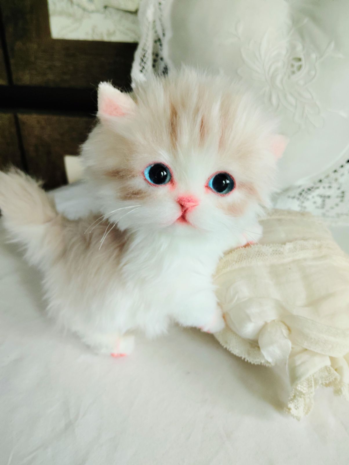 ミヌエット子猫ちゃん