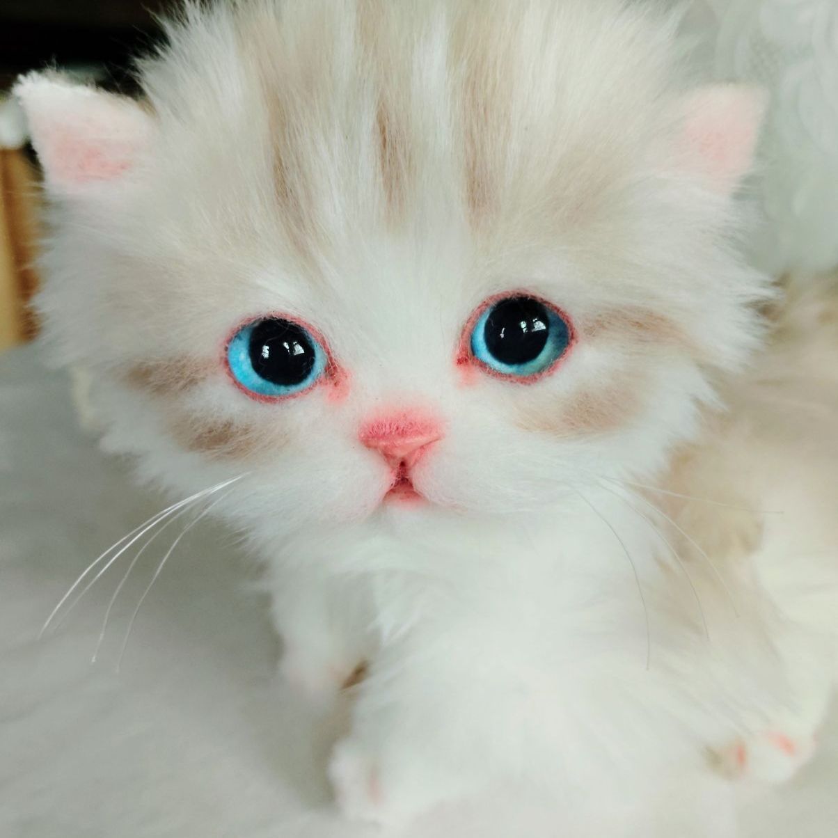 よちよちあんよ 短足ころりんボディ ミヌエット子猫ちゃん アートドール ぬいぐるみ