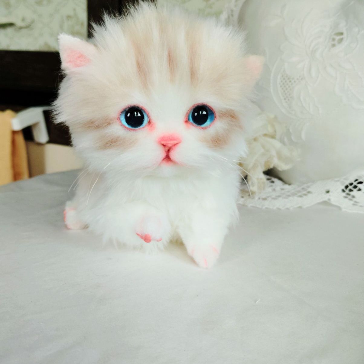 短足ころりんボディ ミヌエット子猫ちゃん