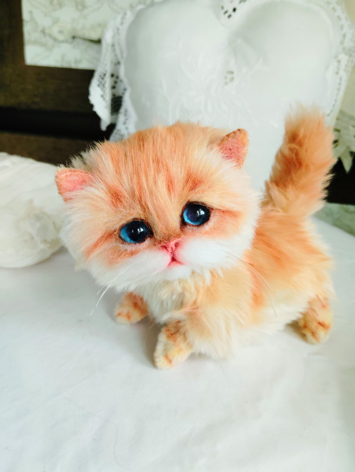 マンチカン子猫ちゃん