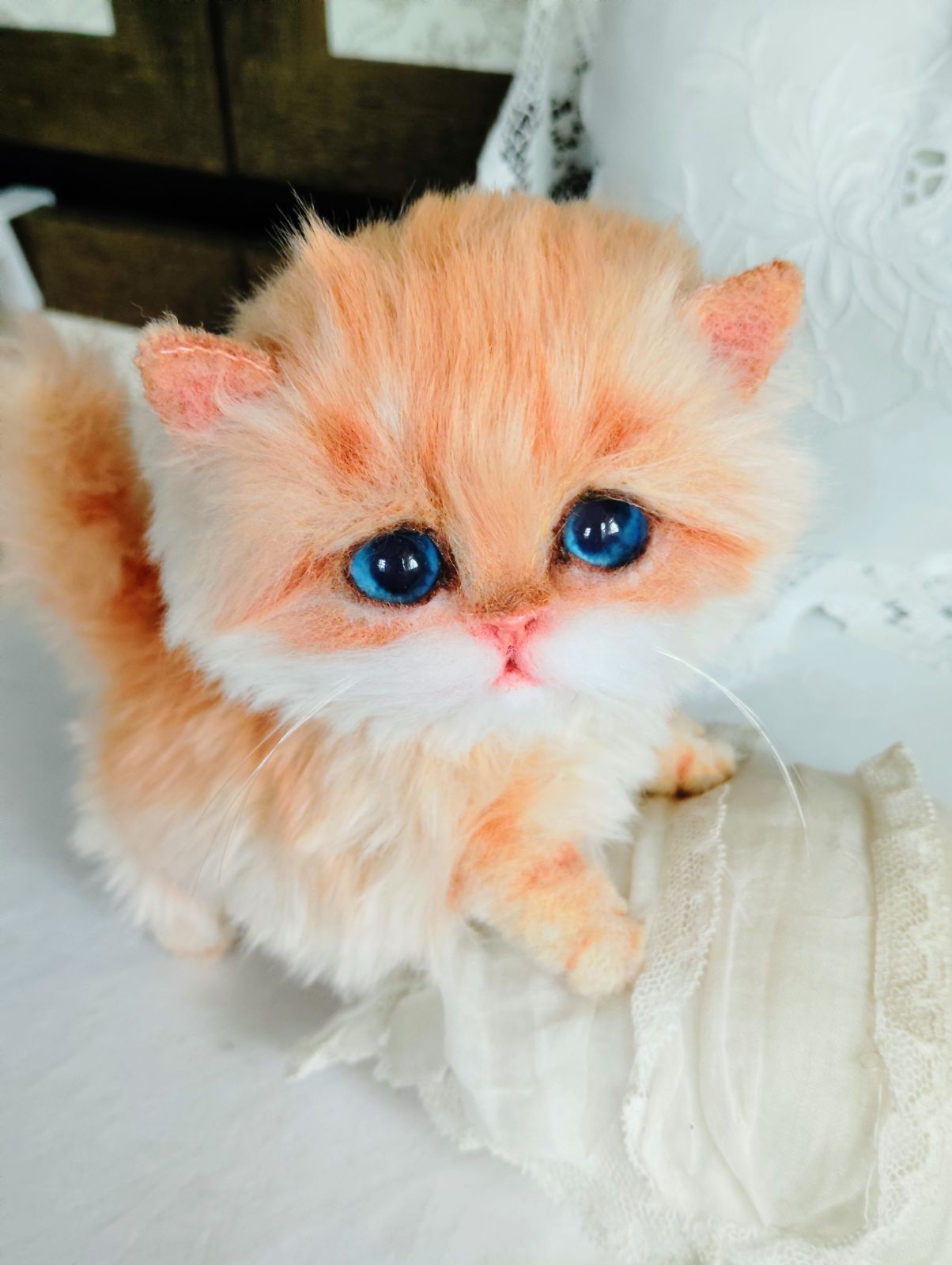 ころころボディ マンチカン子猫ちゃん