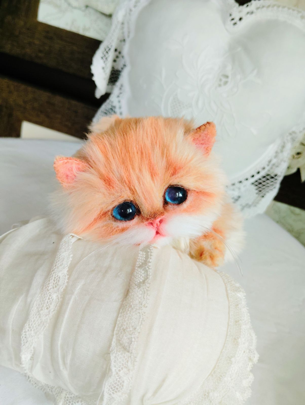 ころころボディ マンチカン子猫ちゃん