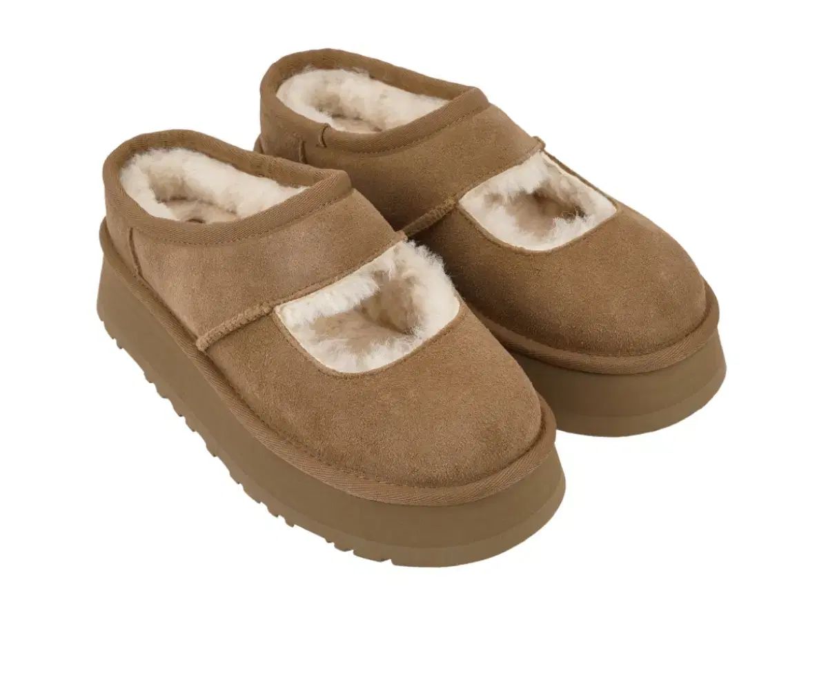 アグ メリージェーン チェスナット 240 ソールドアウト