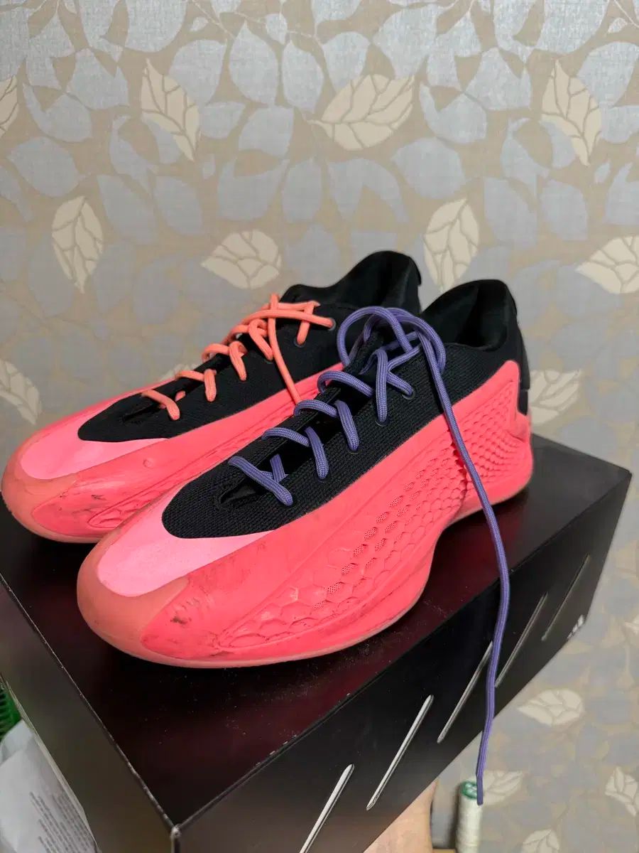 アディダス ae1 ナイキ ズームプリック 6 ナイキ ja 1