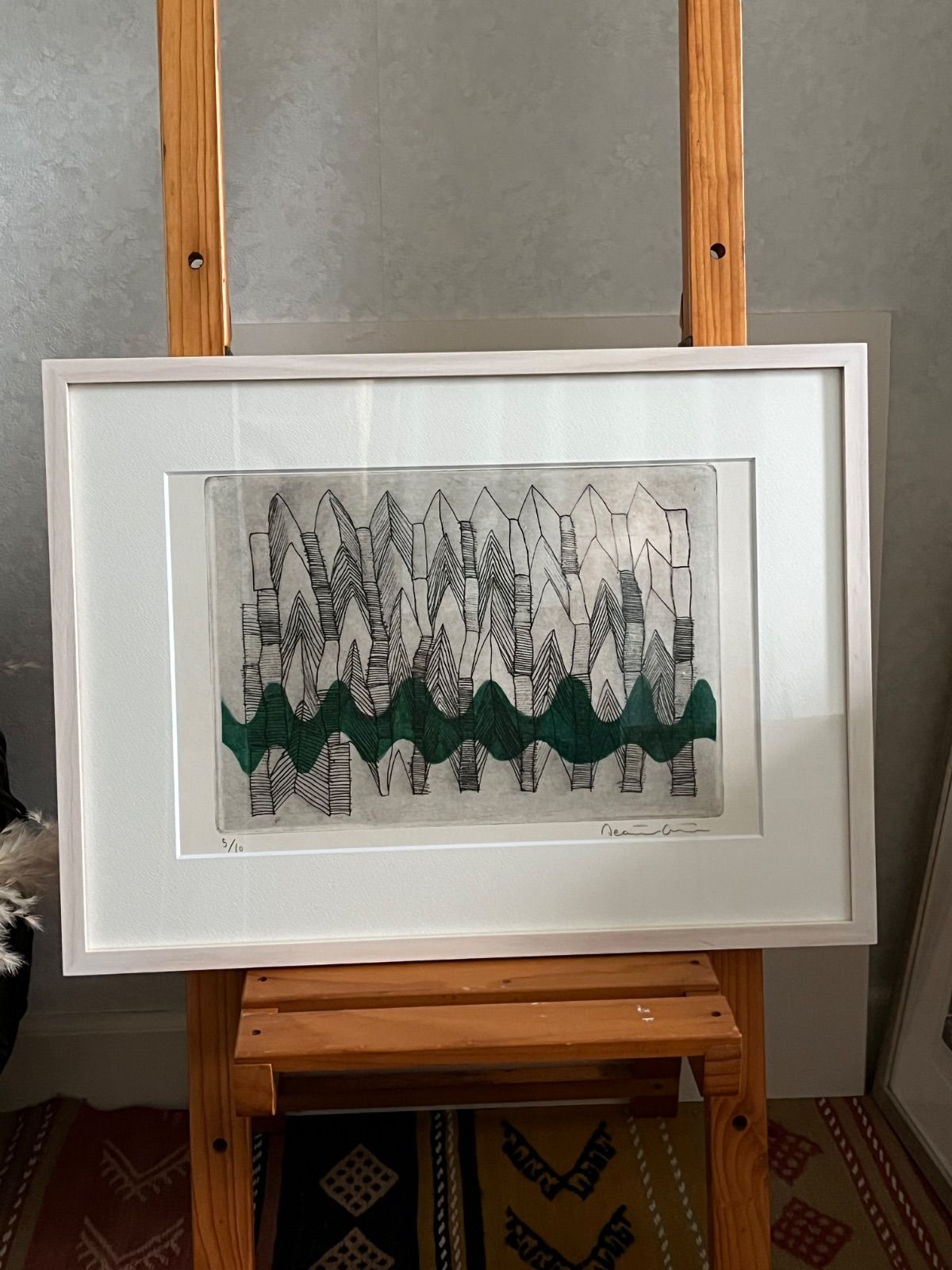 銅版画 超 10枚 エディション番号あり 直筆サインあり エッチング 額入り ジニー キム