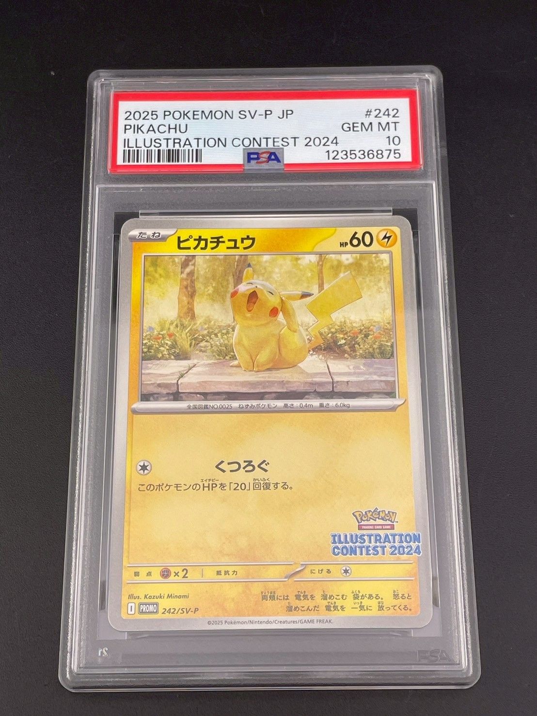 鑑定品】 PSA10 ピカチュウ SV-P 242 プロモショーンカード