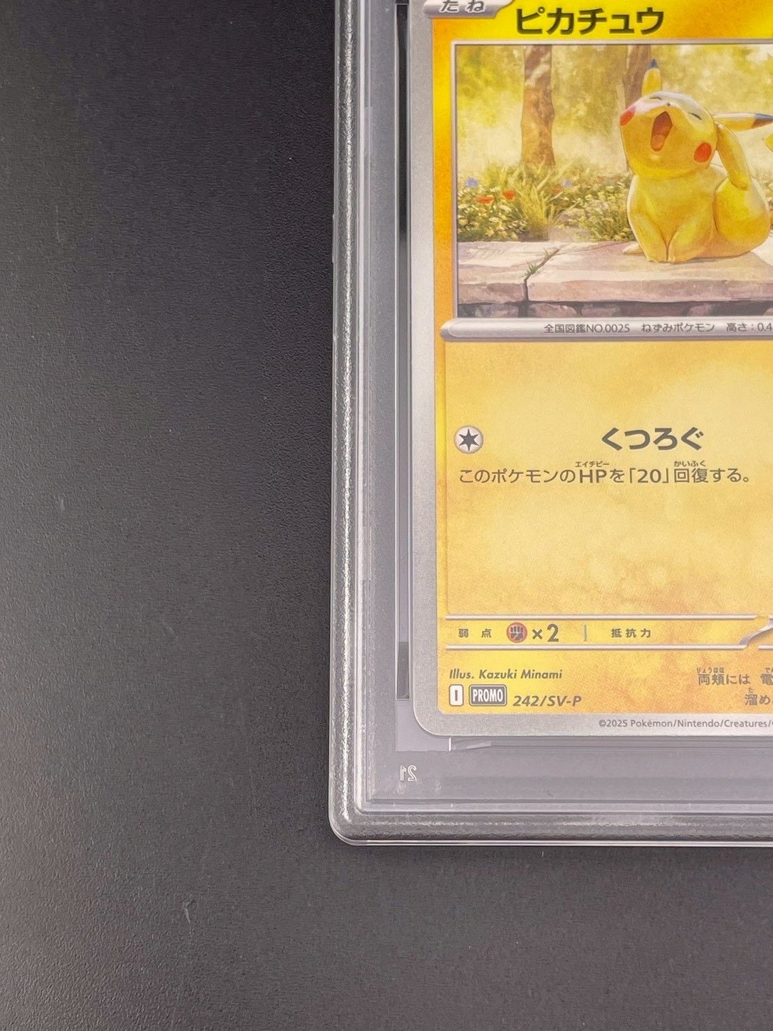 ピカチュウ　プロモ 242/sv-p psa10 PSA 10 Pokemon Card PROMO 242/SV-P Pikachu Illustration