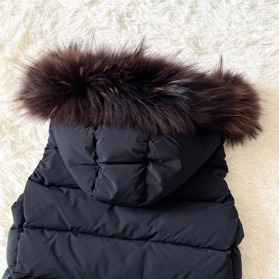 サボナローラ ラクーン