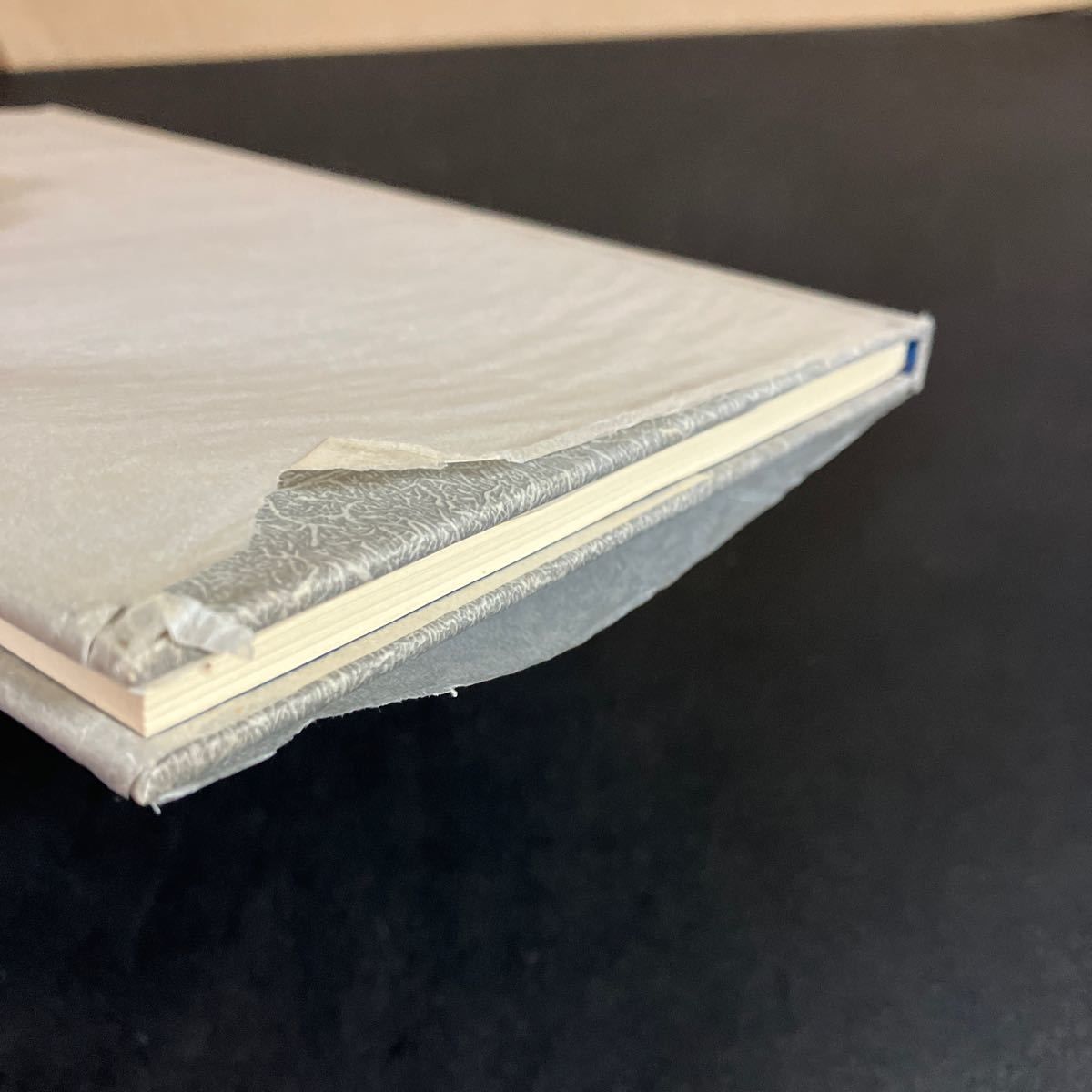 処女歌集 山尾悠子