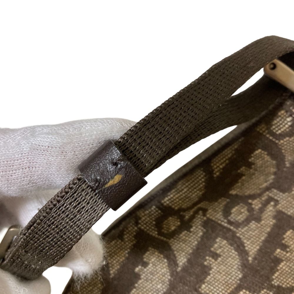 クリスチャンディオール トロッター