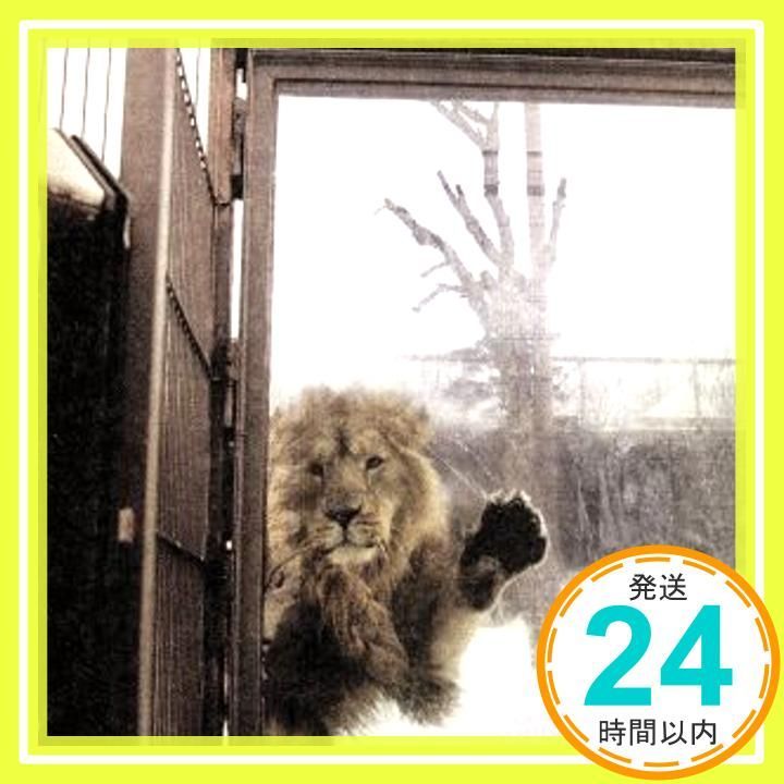 Kitsune Tabloid CD Phoenix_02