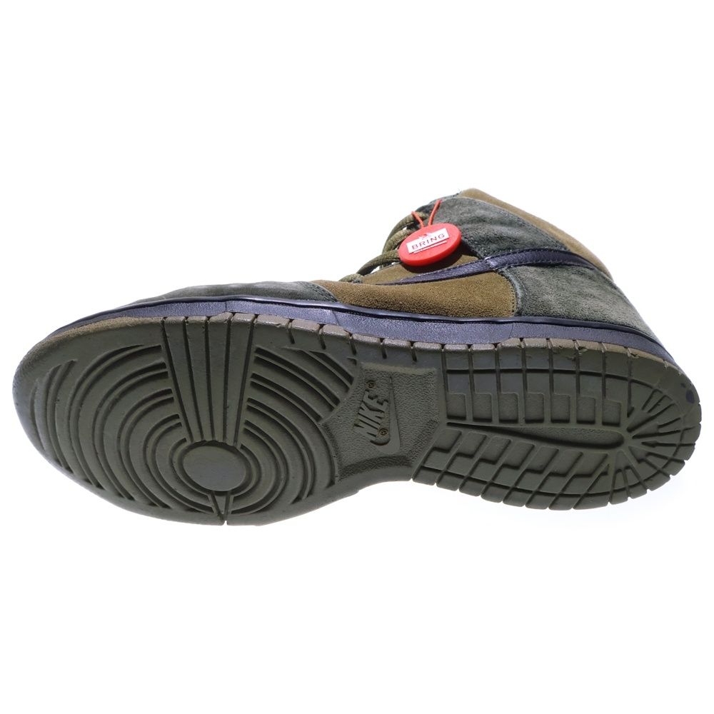 NIKE (ナイキ) 【観賞用 2003年製】 DUNK HIGH PRO TODD JORDAN HULK