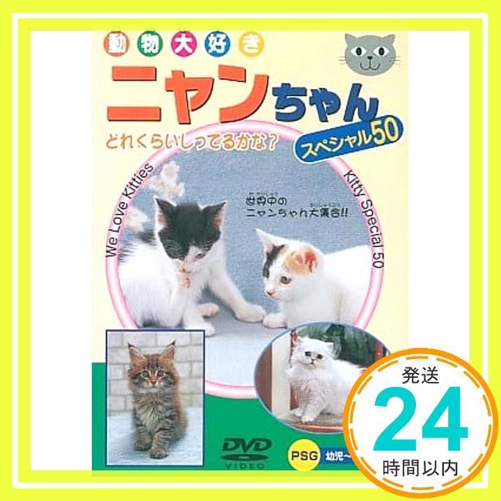 ニャンちゃん 50 DVD DVD _02