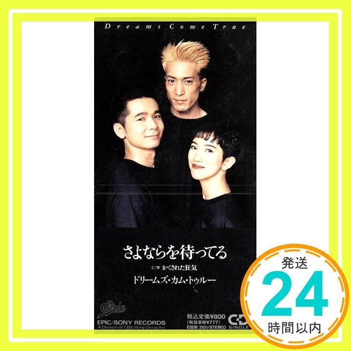 さよならを待ってる CD Dreams Come True DREAMS COME TRUE DREAMS COME TRUE 中村正人_03