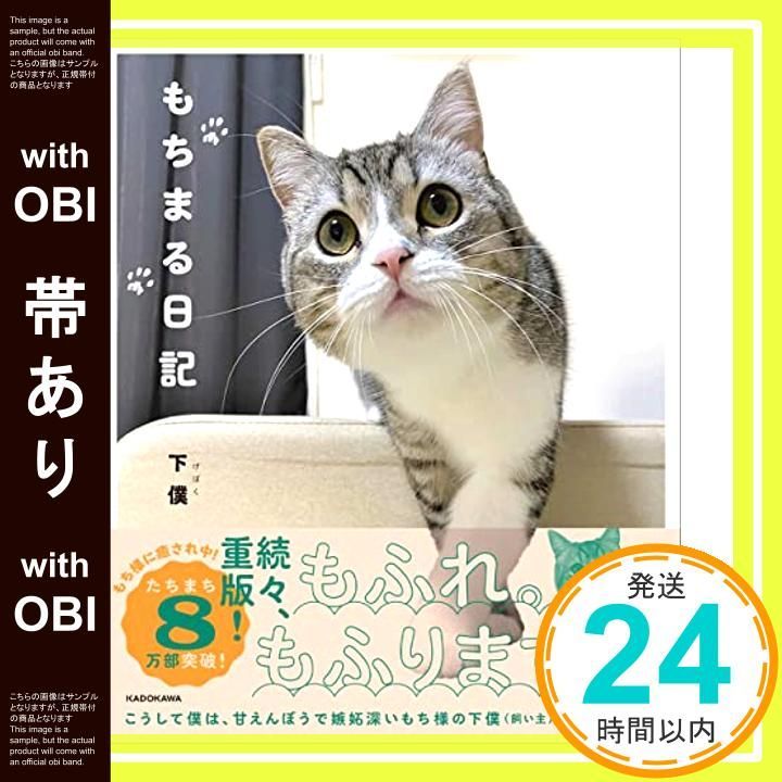 帯あり もちまる日記 Jul 21 2021 下僕_07