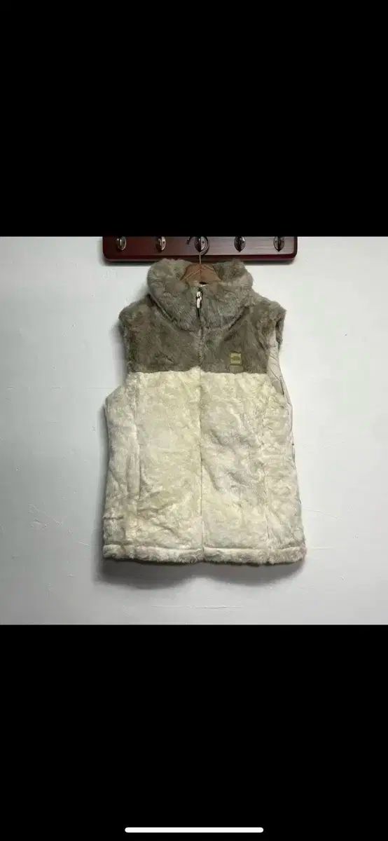 THE NORTH FACE ザノースフェイス ファー ダックダウン ダウン BEST ベスト