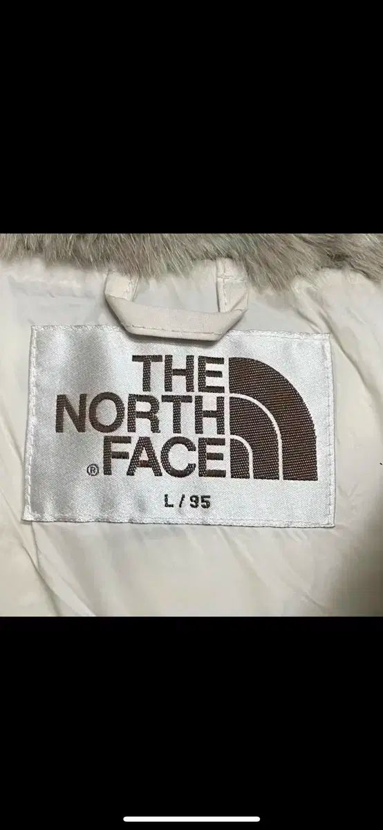 箱付 THE NORTH FACE ザノースフェイス ファー ダックダウン ダウン BEST ベスト 送料無料・返品無料。