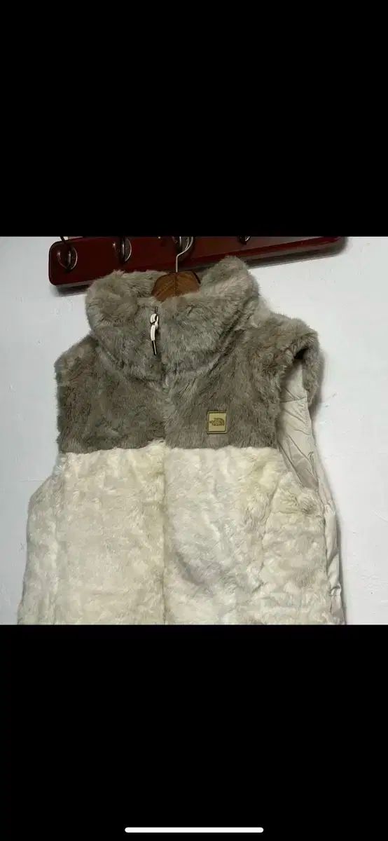 ザノースフェイス ファー