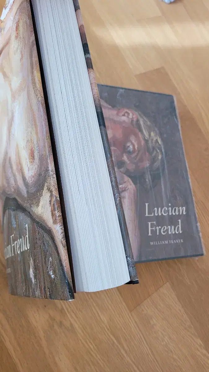  HYUNDAI美術 LUCY ルシ プロ 図録 作品集 400여点 アート デザイン 音楽 本