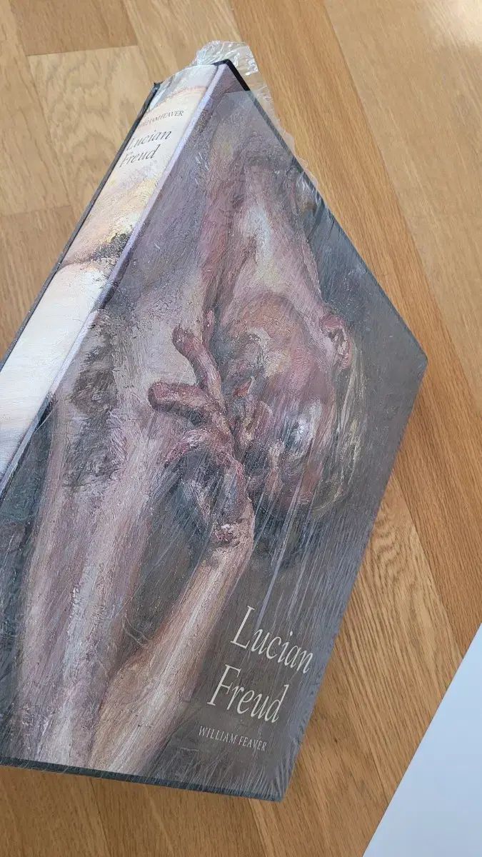 HYUNDAI美術 LUCY ルシ プロ 図録 作品集 400여点