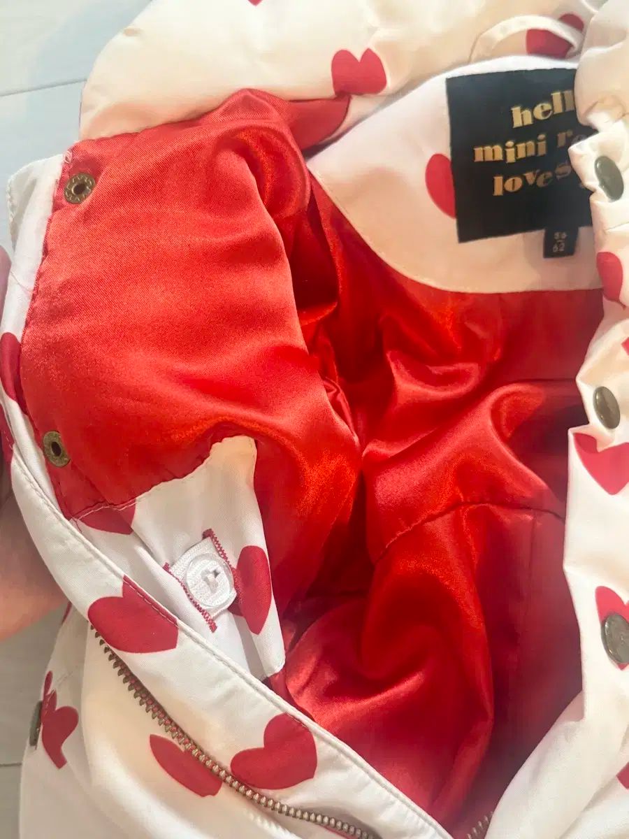 ミニロディーニ