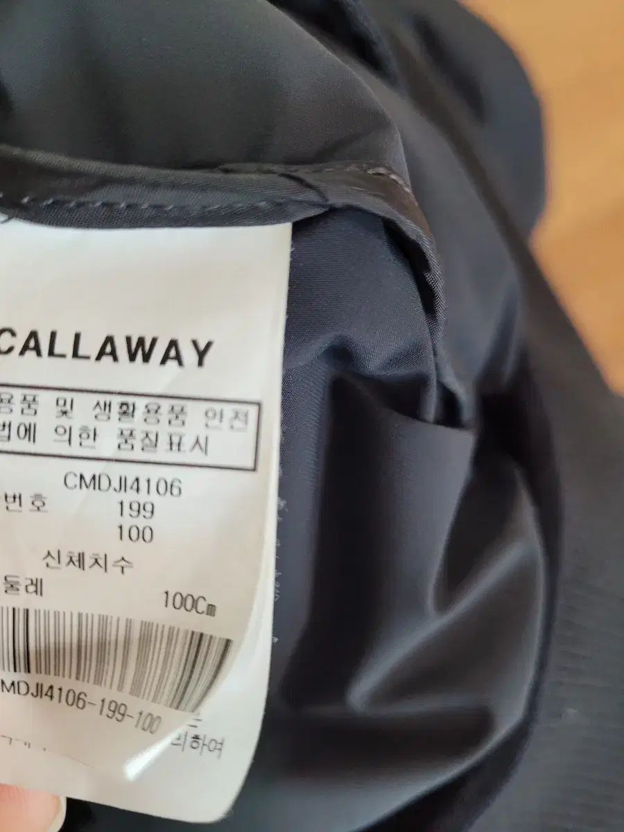 グースダウン ブルゾン100