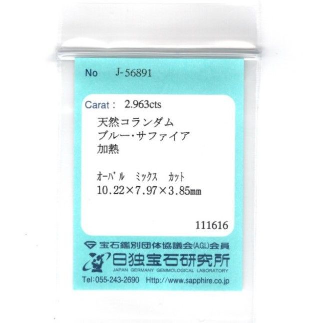 ペンダントTOP Z5043