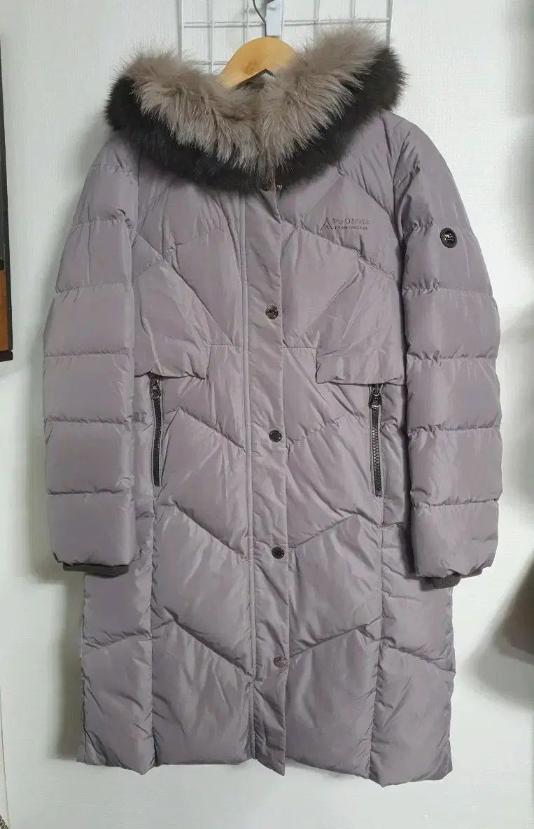 レディース グースダウン 100L