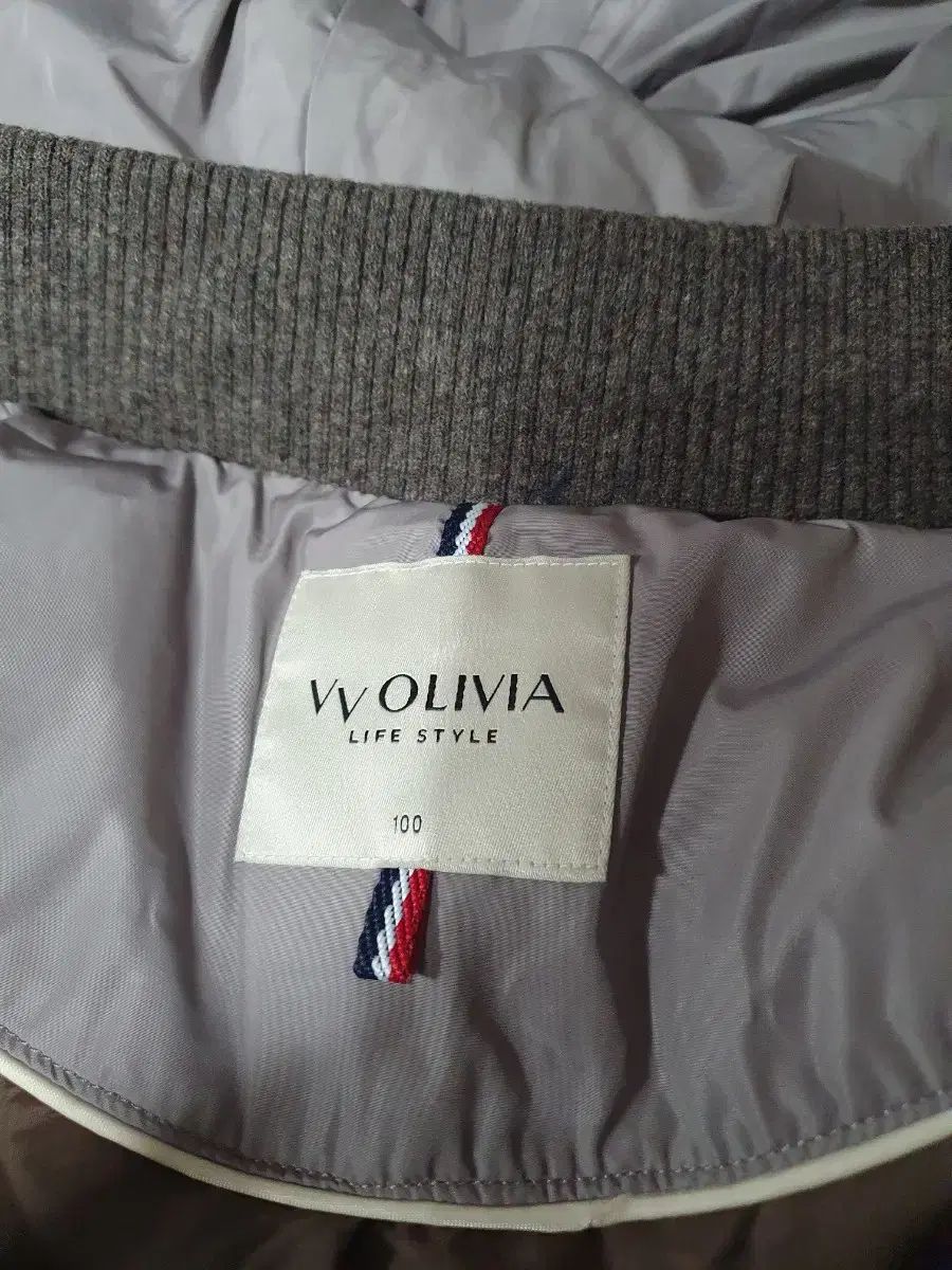 グースダウン 100L