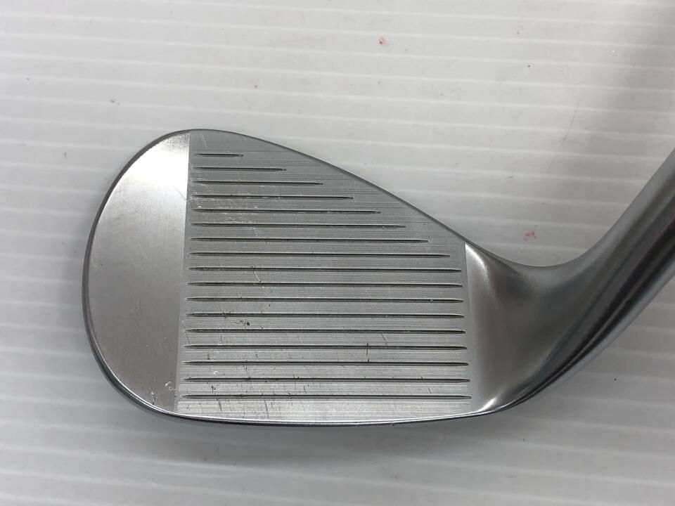 プロテア ピンクミンク 7号鉢 オージープランツ 苗 観葉 2輪