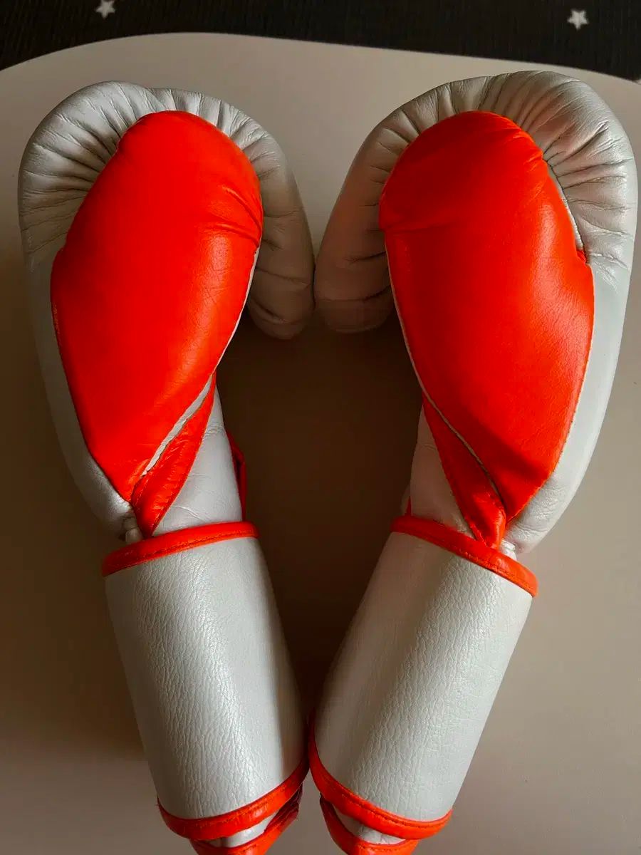  フライ ボクシング グローブ 16オンス その他 ボクシング