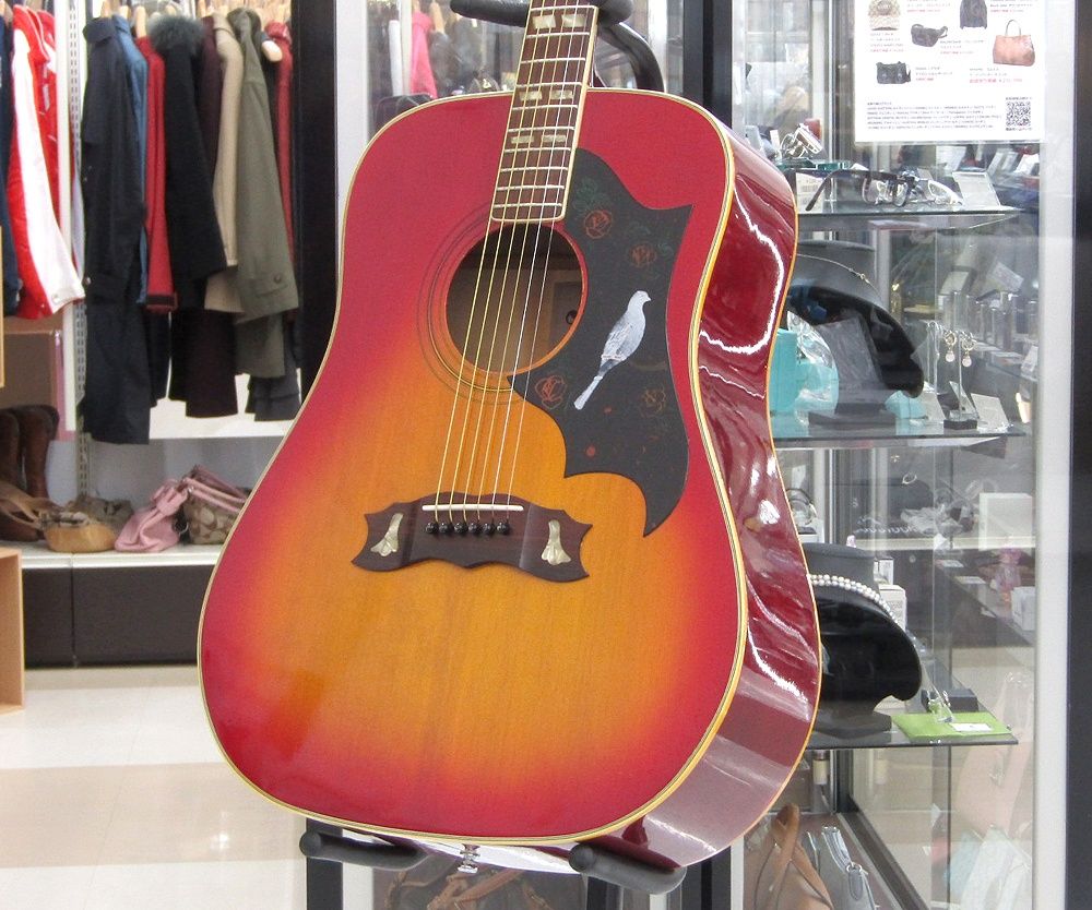 Aria アリア アコースティックギター WD-30