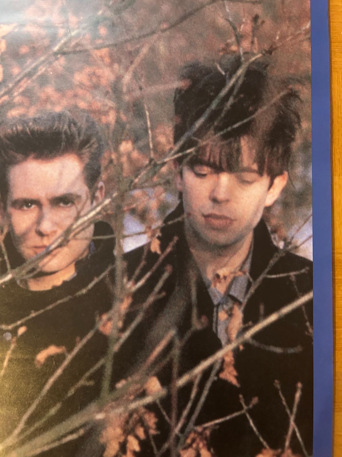 エコー-ザ バニーメン Echo - the Bunnymen 1980年代 アルバム プロモーション用ポスター B2サイズ 515x728mm AR_KOOLFOOD_TN