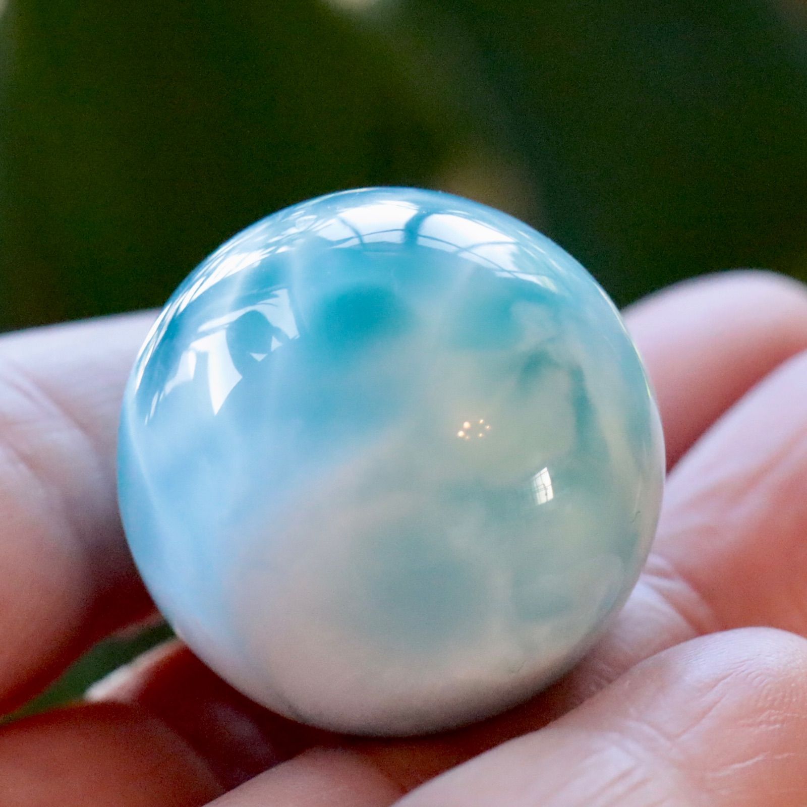 ロイヤルクラス