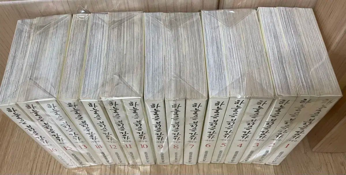 スカイは紅い川の愛蔵版 1-16巻 完