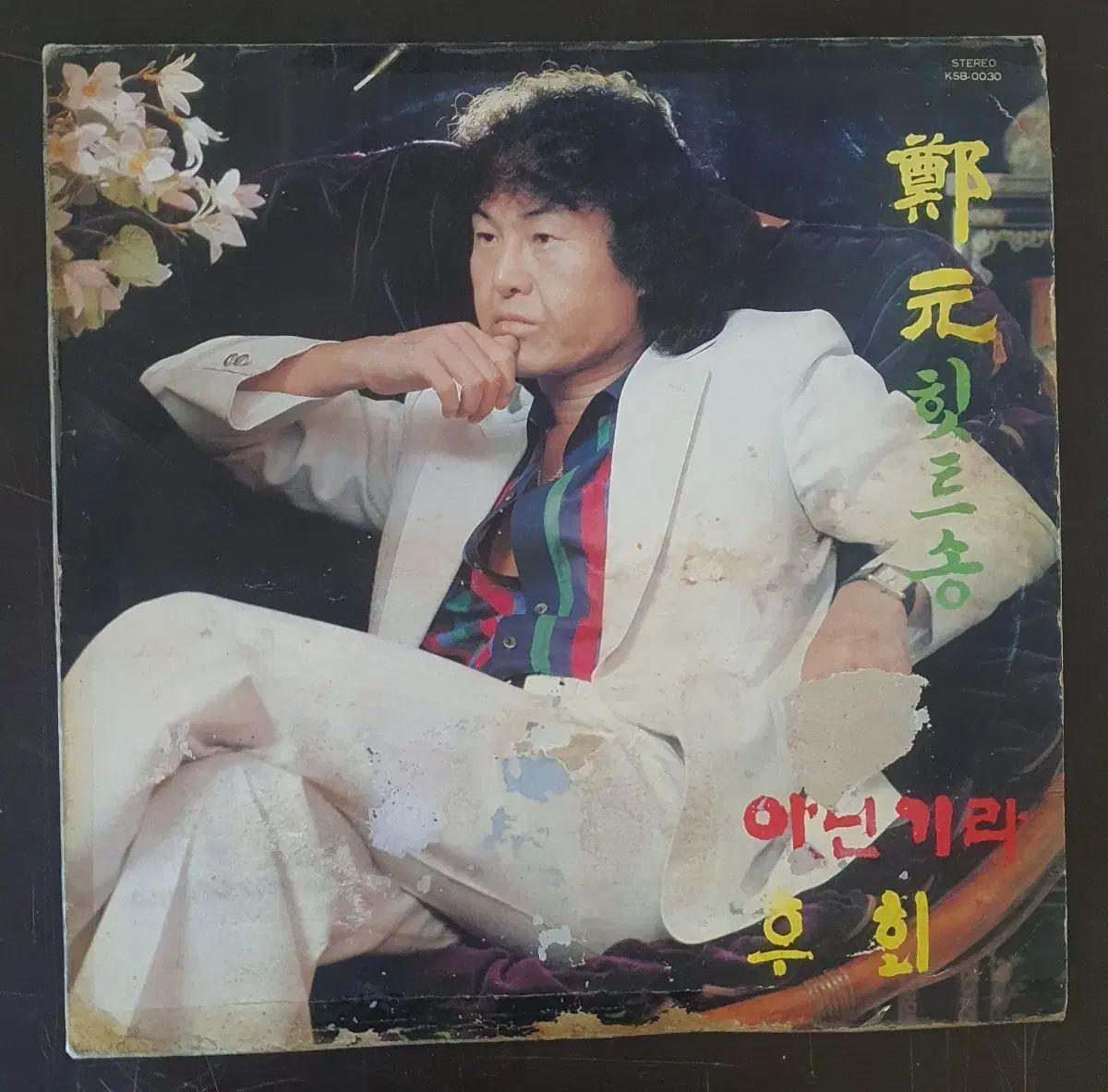 ショップ ☆シンビジューム☆CYM ファラオ☆陶器7号鉢☆4F☆