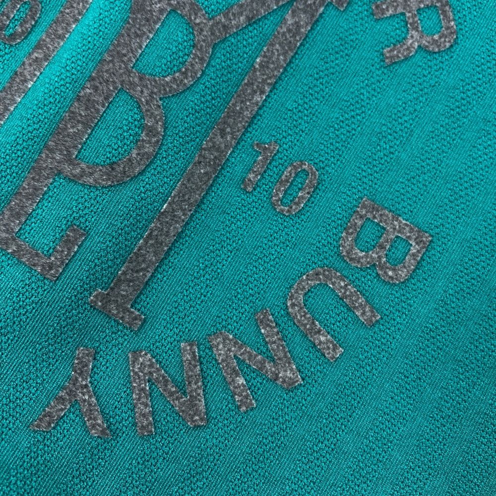 マスターバニーエディション モデル