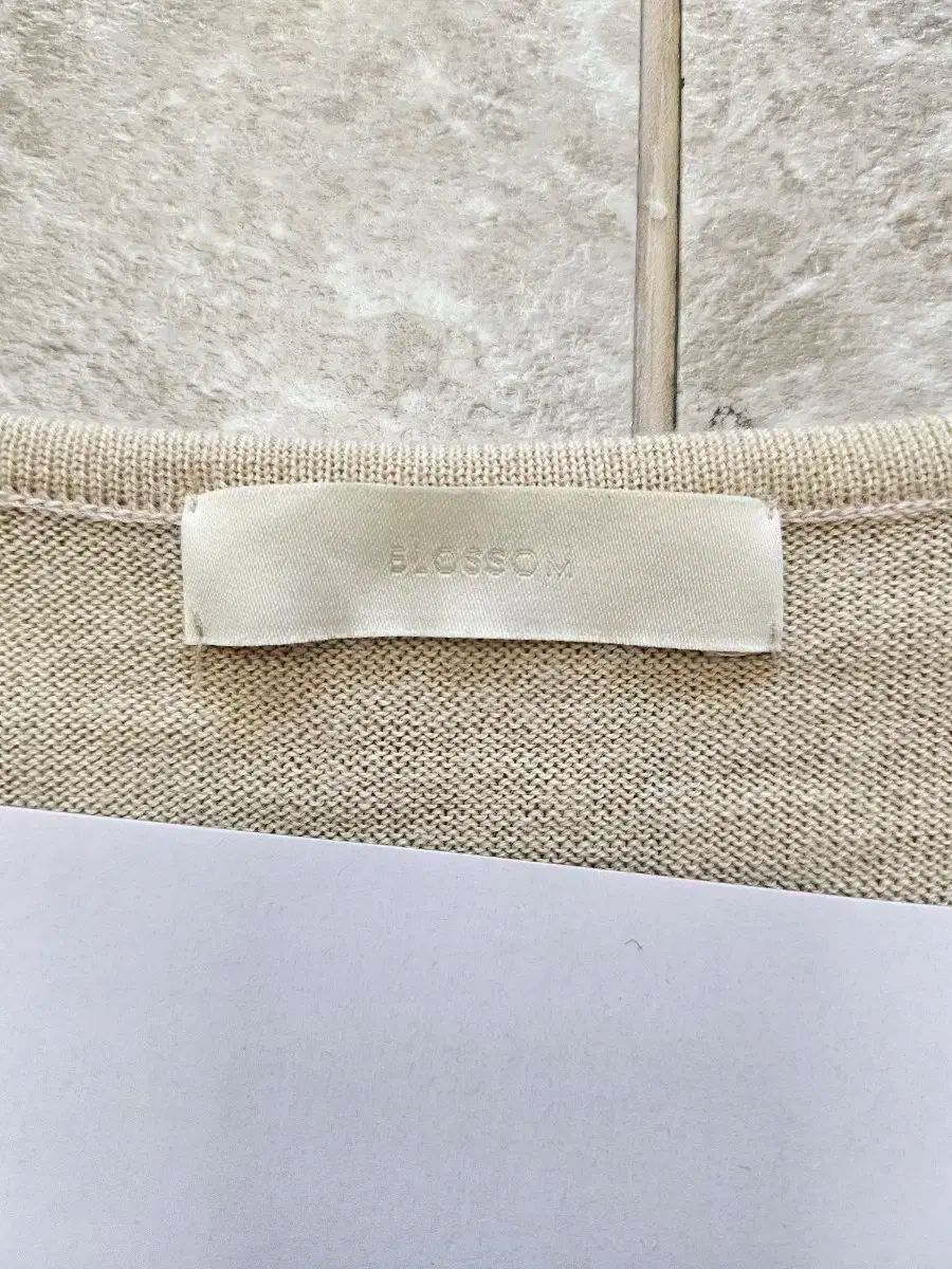 ベージュ Vネック