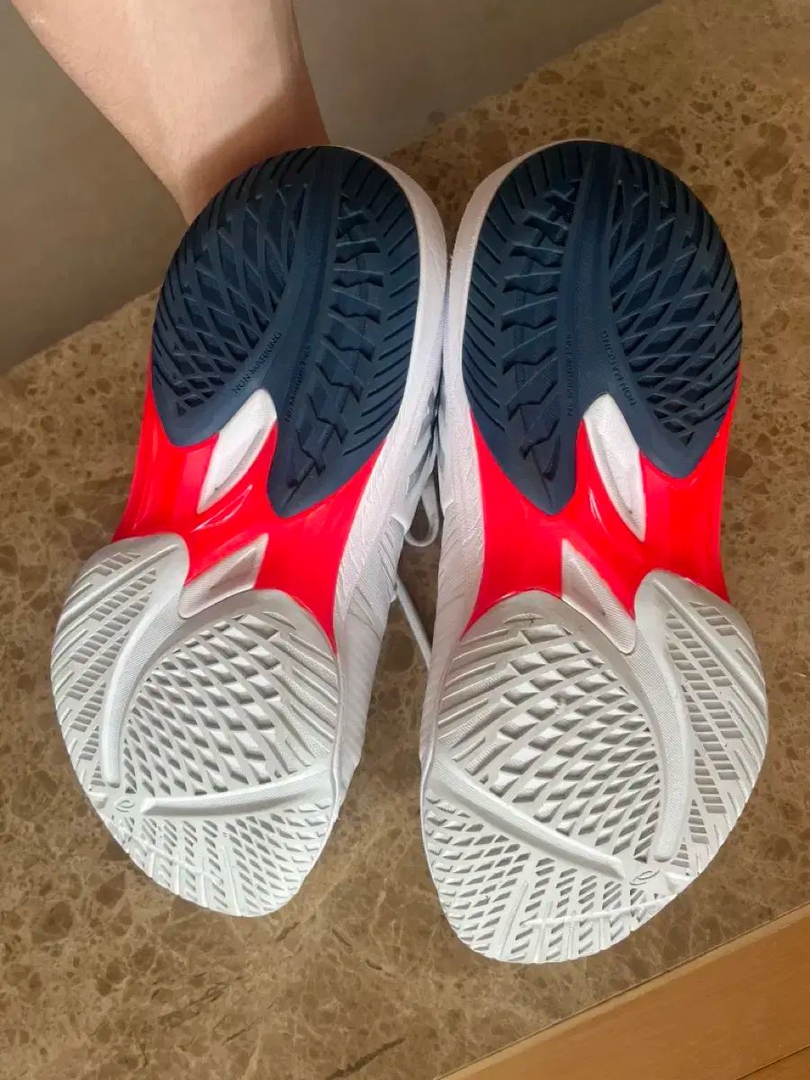 アシックス チェドゥプシ バレーボールシューズ LLC-HASEGAWATOSO_COM