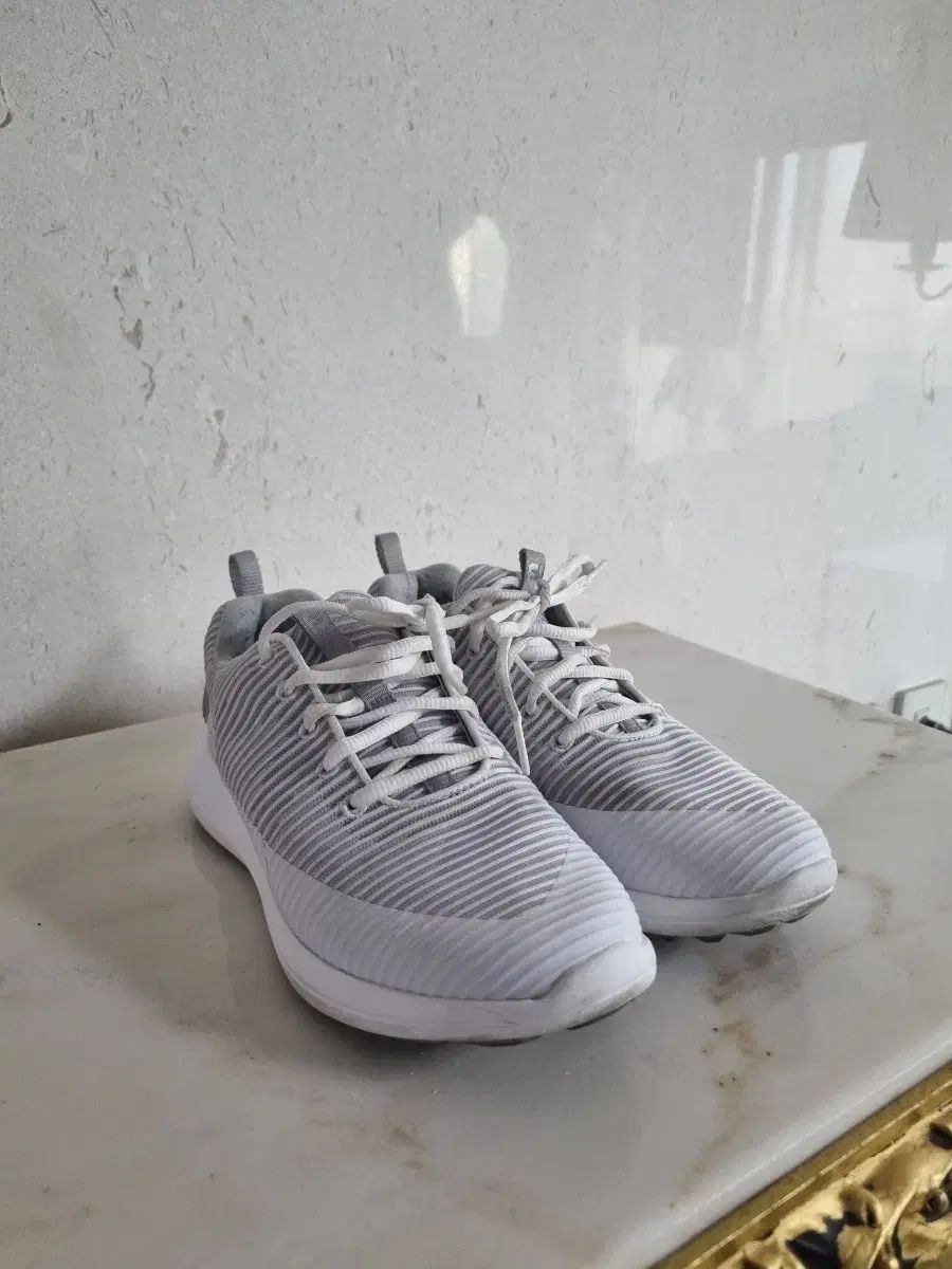 新品，豊富な FootJoy フットジョイ フレックスXP レディース ゴルフシューズ 235 シューズ(男性用)