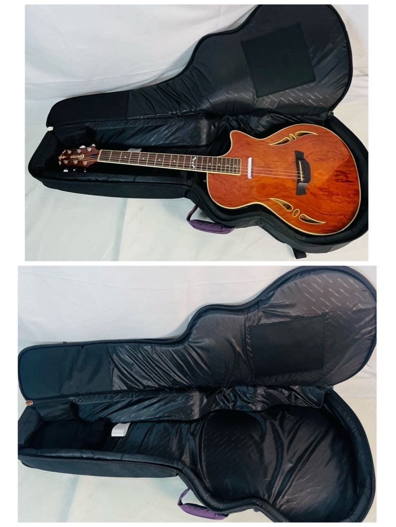 【良品】 CRAFTER SA-BUB エレキギター RITTERケース 良品】 CRAFTER SA-BUB エレキギター RITTERケース RITTER RGB4？V ANT