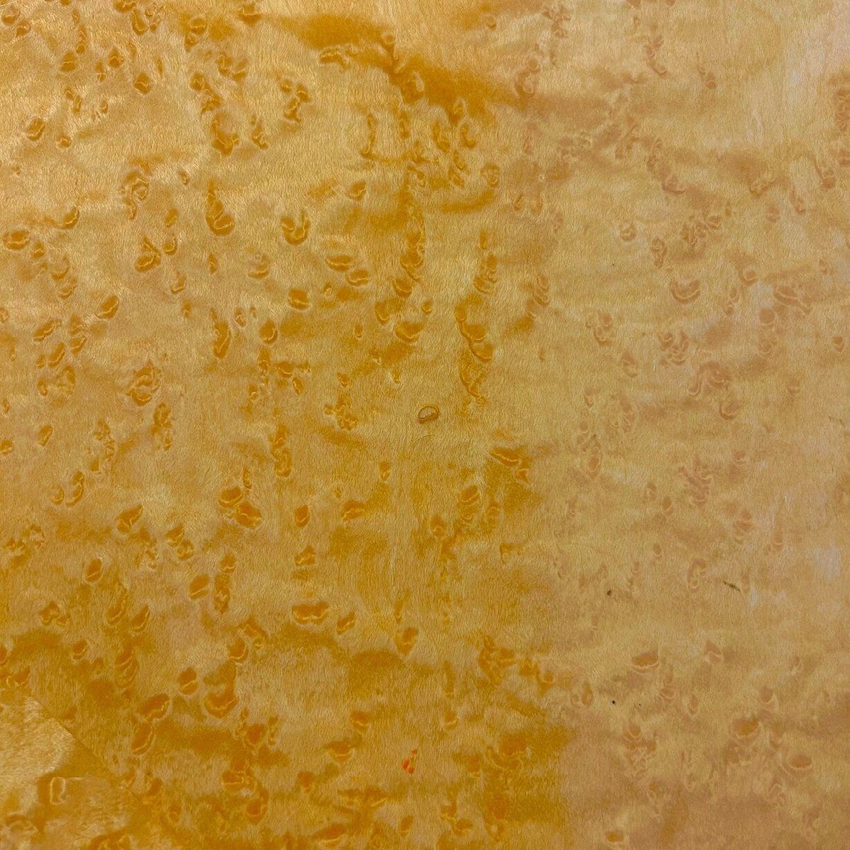 ロー 神奈川県秦野市