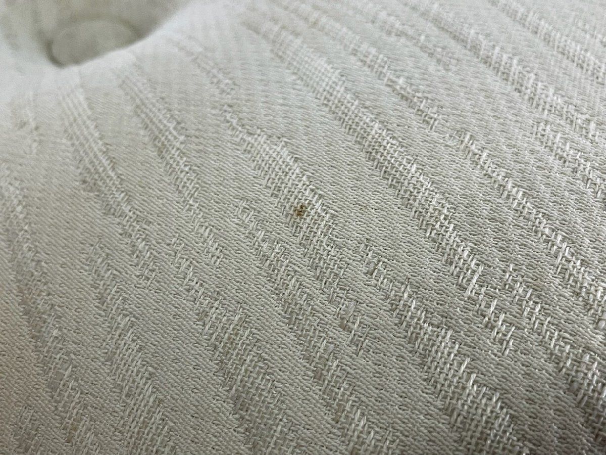 付 神奈川県秦野市