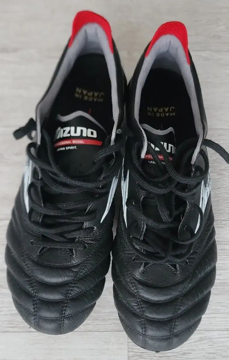 mizuno ミズノ モレリア NEO₍ネオ 260