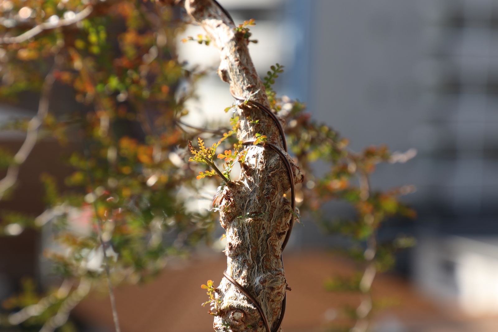 パワータンク付き